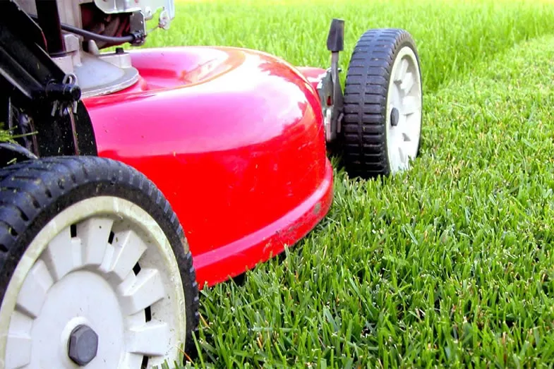 Lawn Care